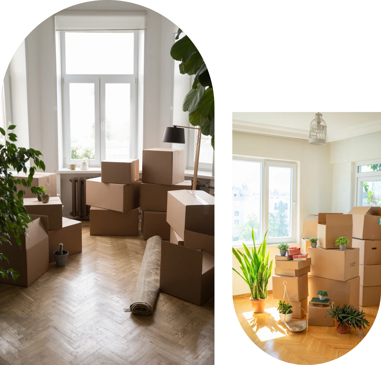 Sunlit space with cardboard boxes